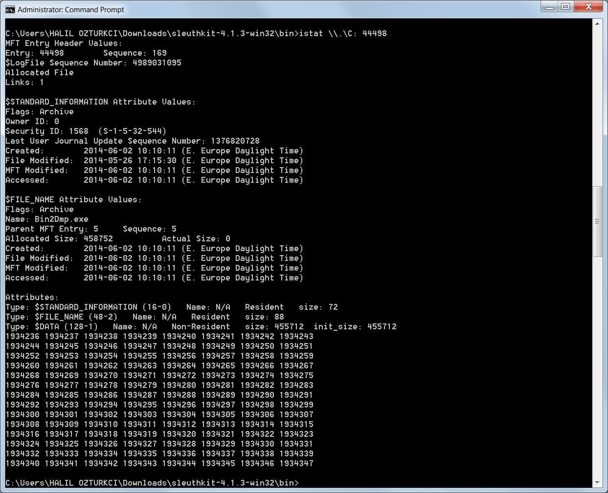 tsk_windows_istat