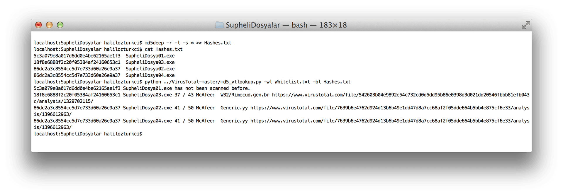 Virustotal_02